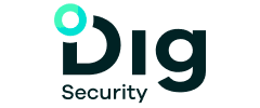 dig